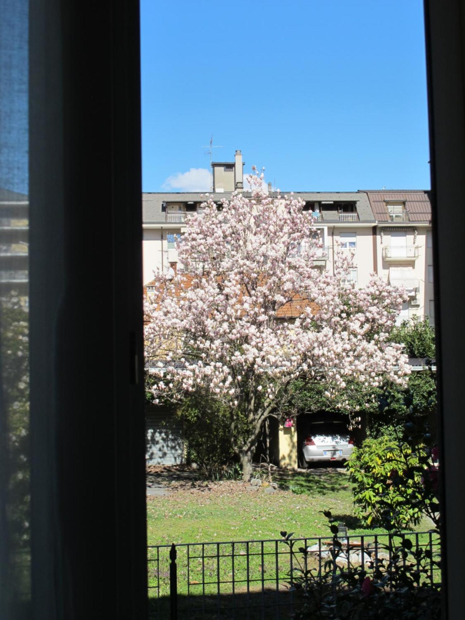 Domus Mea Lägenhet Domodossola Exteriör bild